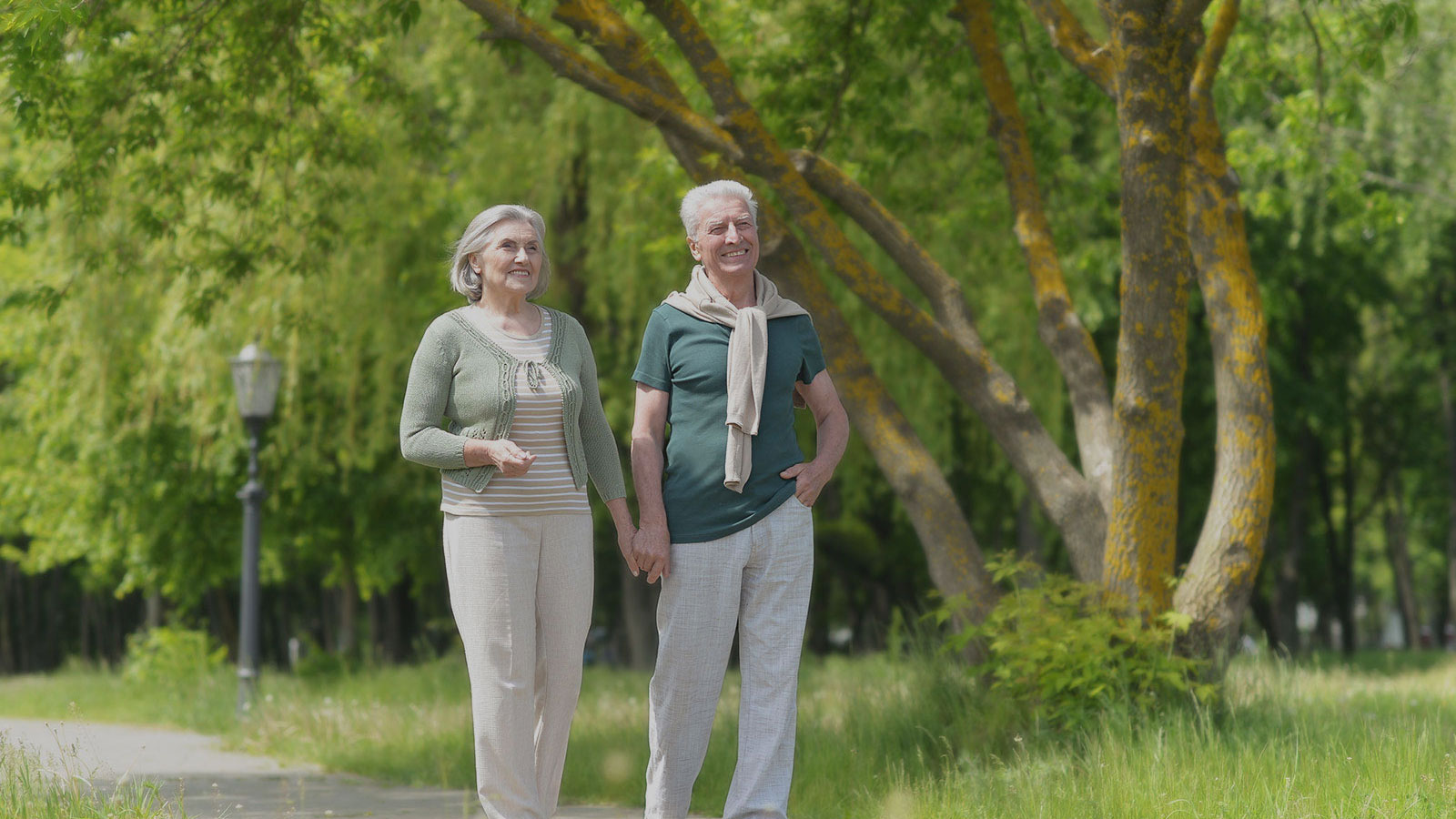 Curry Park Apartments